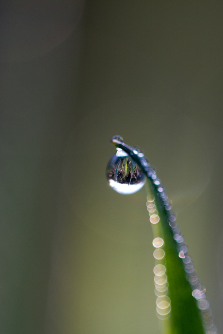 "Waterdruppelspiegel"