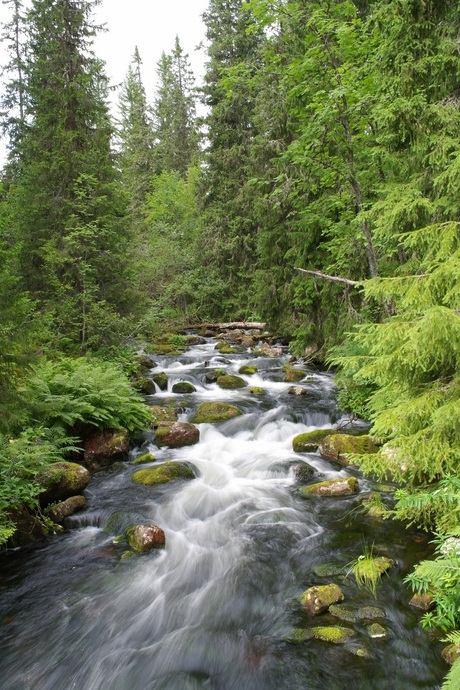 water in beweging