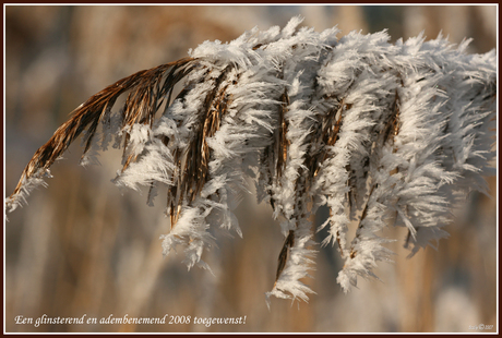 natuur(lijk)