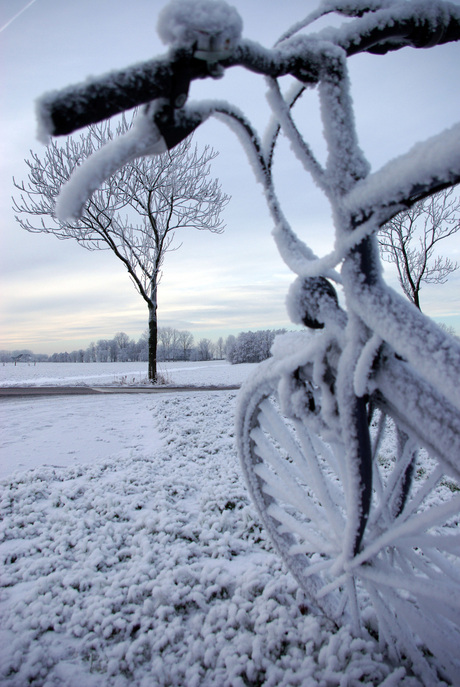sneeuw fiets