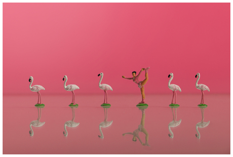 flamingo-danseres