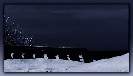 Moonlight dunes