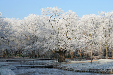 Winterbruggetje