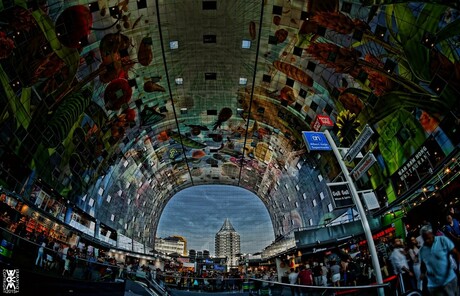 Rotterdam Markthal