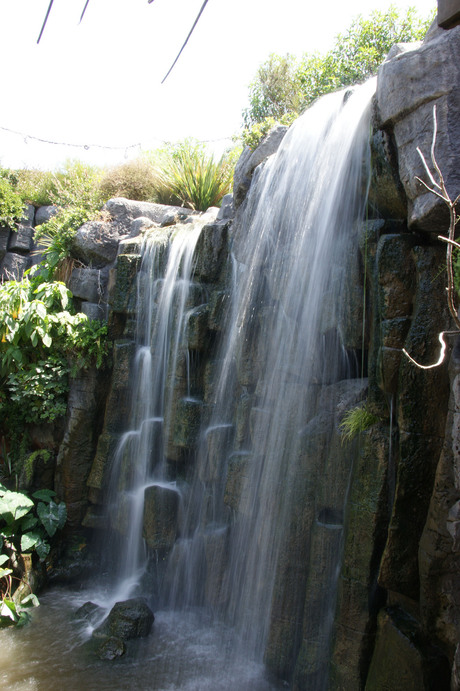 Waterval in Palma Aquarium