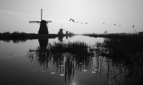 Kinderdijk