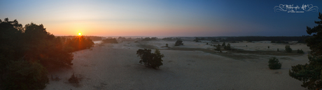 Kootwijkerzand panorama