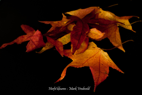 Herfst kleuren