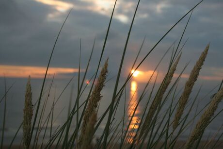 Zonsondergang Bloemendaal