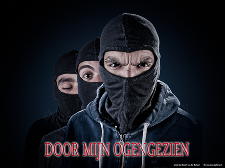 Coverfoto van het boek "gezien door mijn ogen"