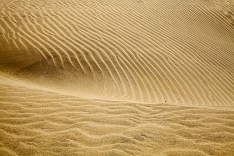 Duinen zand