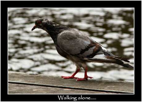 Walking Alone...
