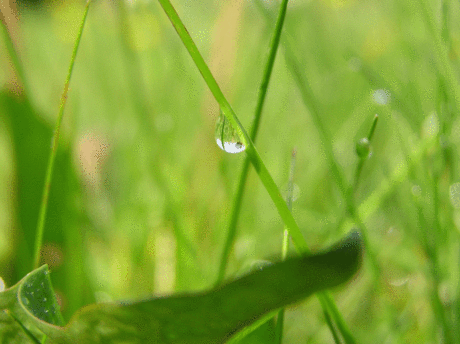 Druppel met reflectie van camera