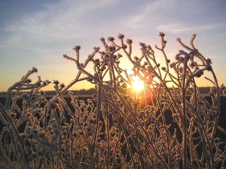 Zonsopkomst