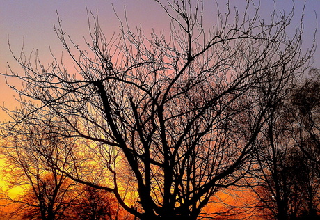 Prachtige lucht op 18 februari