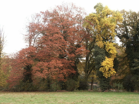 Mooie herfst kleuren