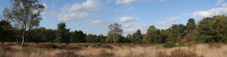 Mokerheide panorama