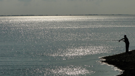 Visser langs Oosterschelde