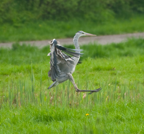 Landing