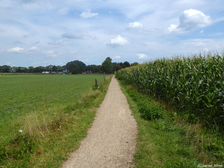 Landschap Oldebroek