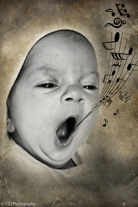 Sing Baby Sing...