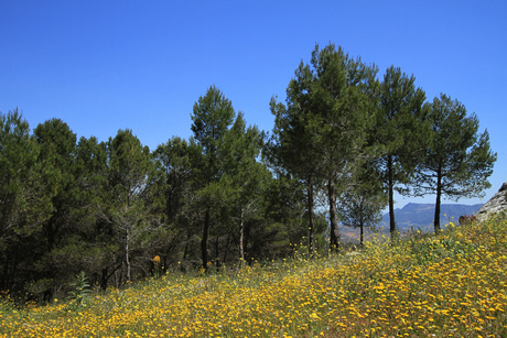 Andalucië