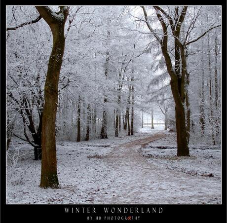 HB Winter Wonderland