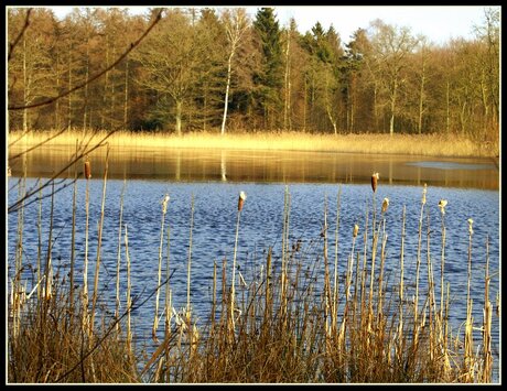 Doorkijkje