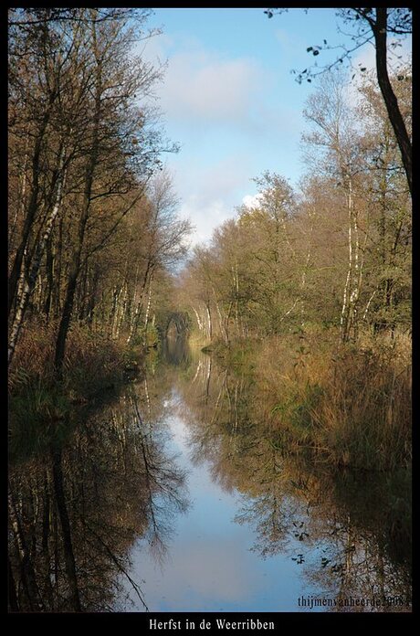 herfst in de weerribben