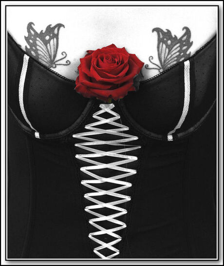 red rose in black and white