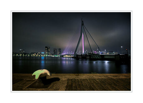 Rotterdam @ Night 2