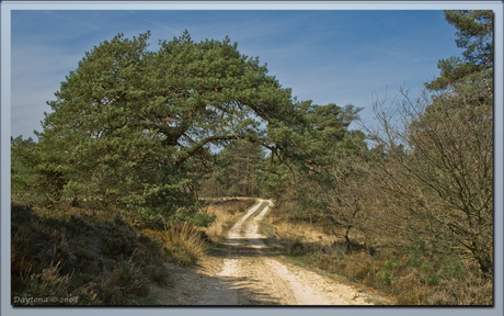 Natuurlijke boog