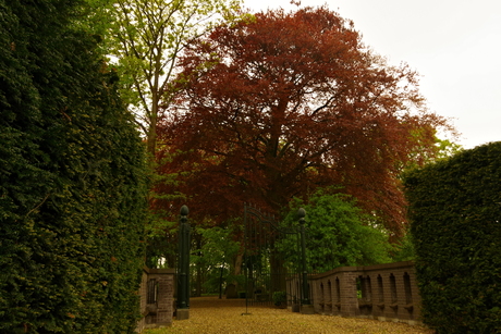 De natuur is zo mooi. Centrum Wormerveer