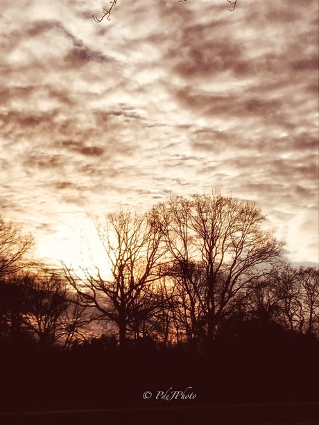 Wolken zonsonder