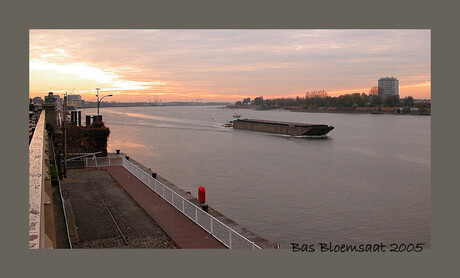 De Schelde door Antwerpen