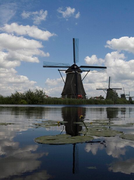 Een Hollands plaatje