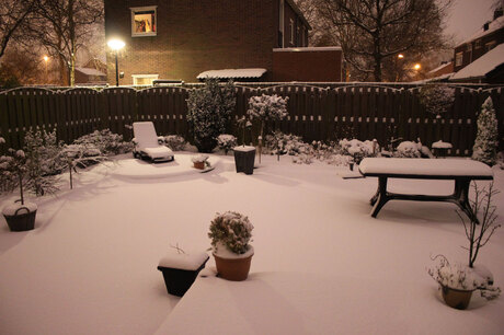 sneeuw in de tuin