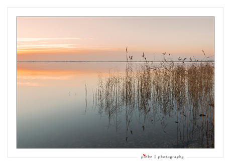 Silence of the lake