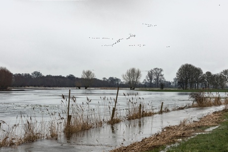 Over gestroomd land