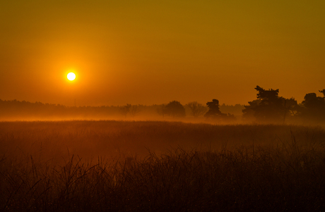 Zonsopkomst in Deelerwoud