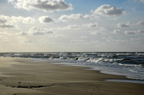 Waddenzee