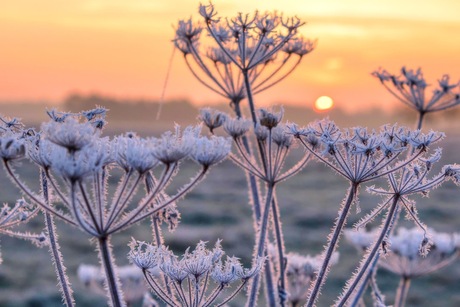 Mooie maar koude zonsopkomst...