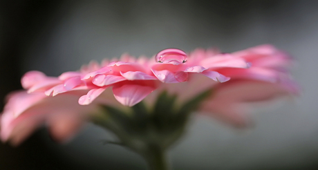 Morning Reflection