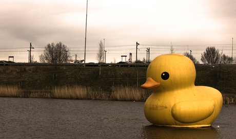 Rubber Ducky