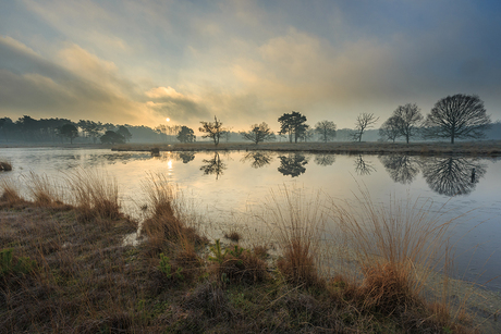 Waterig zonnetje