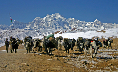 Yakherders op de La Lung La in Tibet