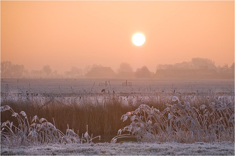 Winter in NL