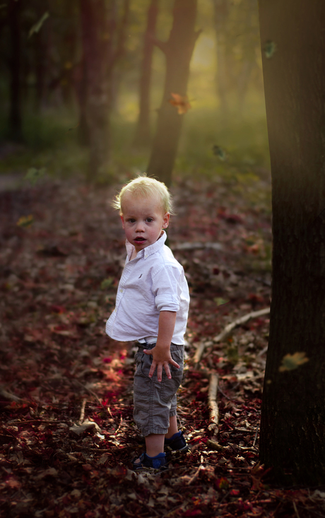 Fenn in de herfst