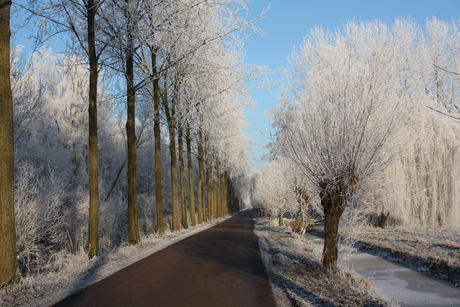 Sneeuwfoto