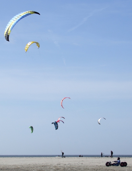 Kites